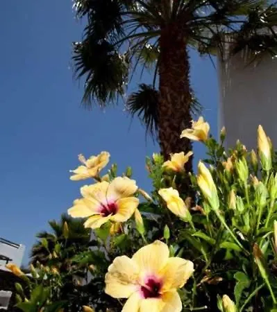 Apartamento Playa Blanca Sleeps 8 Pool Wifi